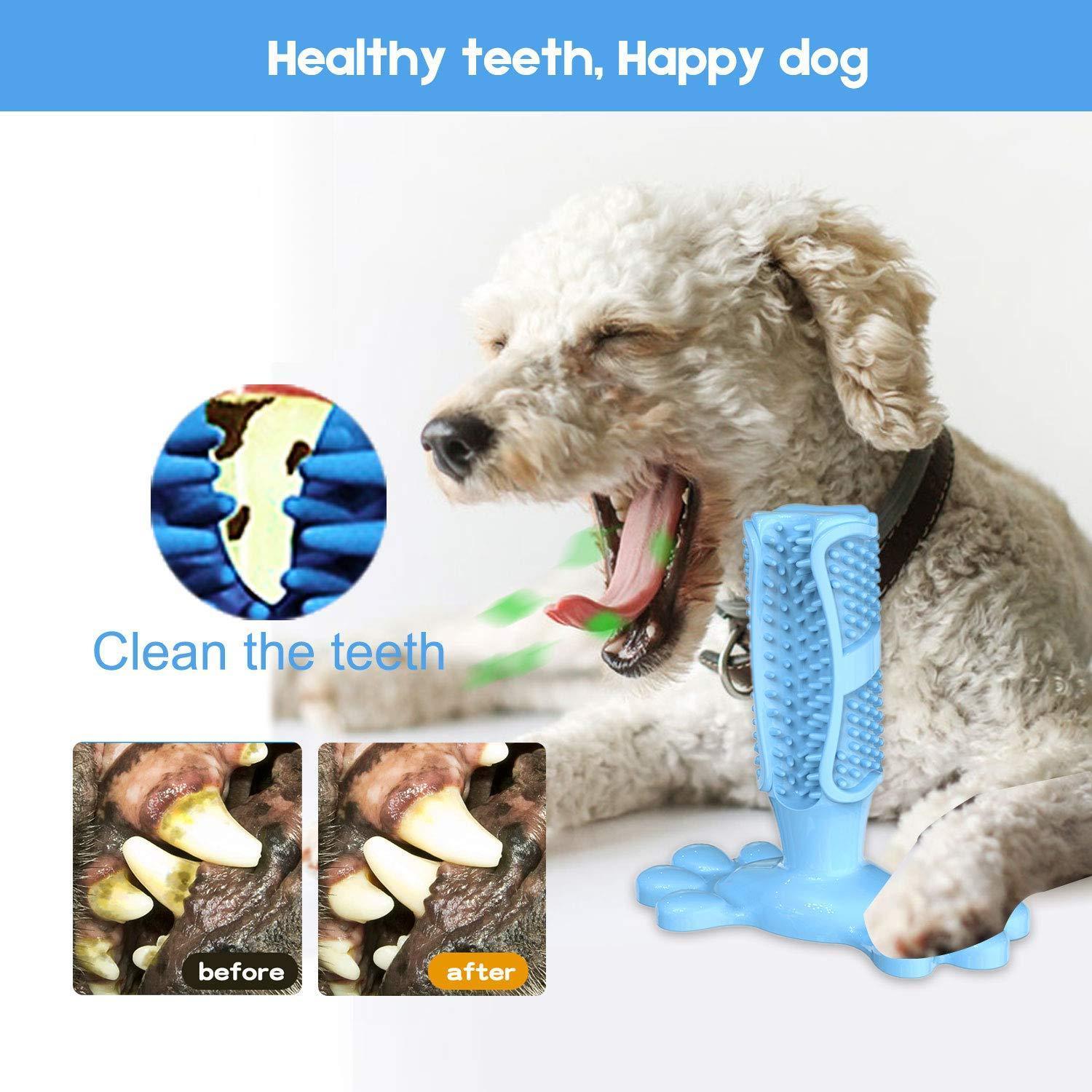 Dog Toothbrush