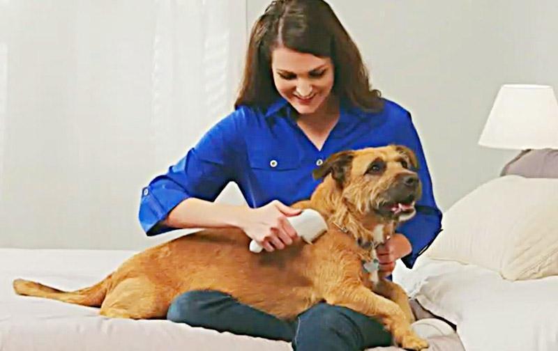 Electric Flea Comb for Pets