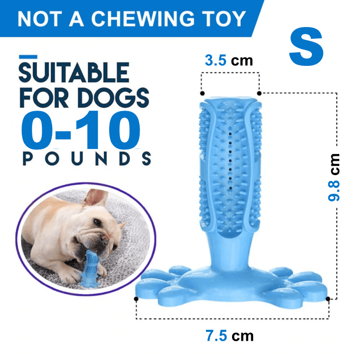 Dog Toothbrush