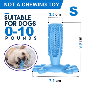 Dog Toothbrush