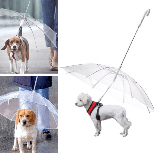 Dog Umbrella with Leash