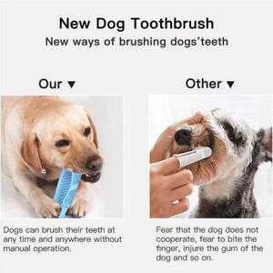 Dog Toothbrush