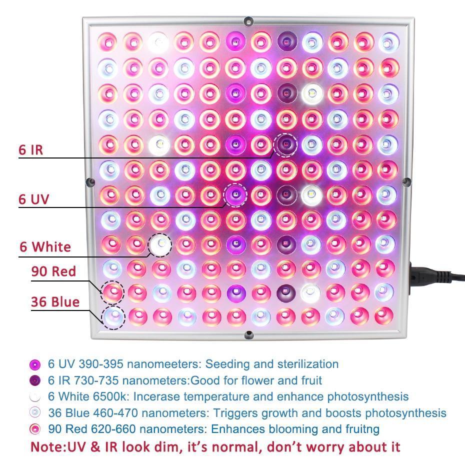 Full Spectrum LED Grow Lights