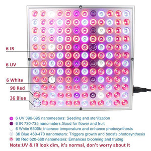 Full Spectrum LED Grow Lights