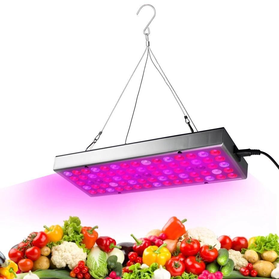 Full Spectrum LED Grow Lights