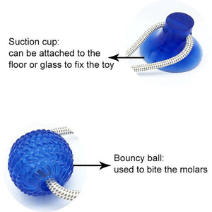 Dog Tug Toy with Suction Cup