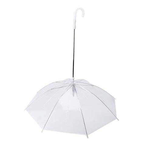 Dog Umbrella with Leash