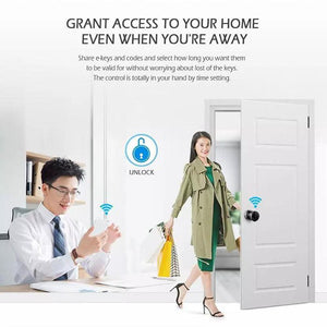 WiFi Fingerprint Password Smart Door Lock