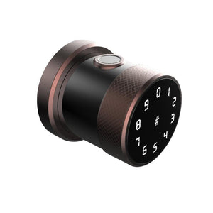 WiFi Fingerprint Password Smart Door Lock