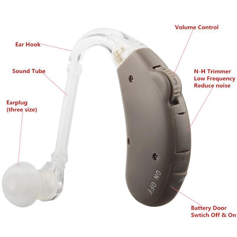 Digital Hearing Aids