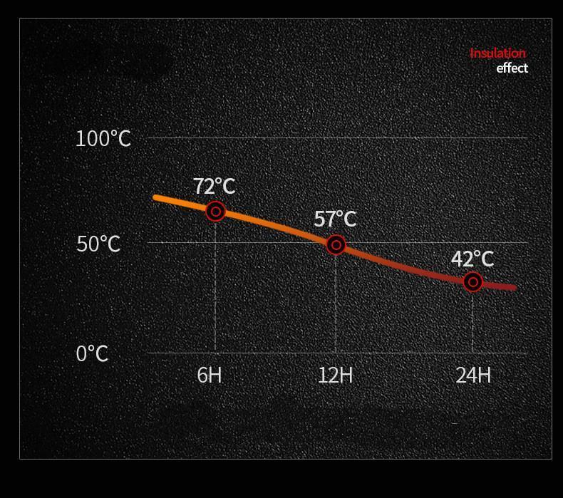 Smart Thermos Vacuum Flask Temperature Display