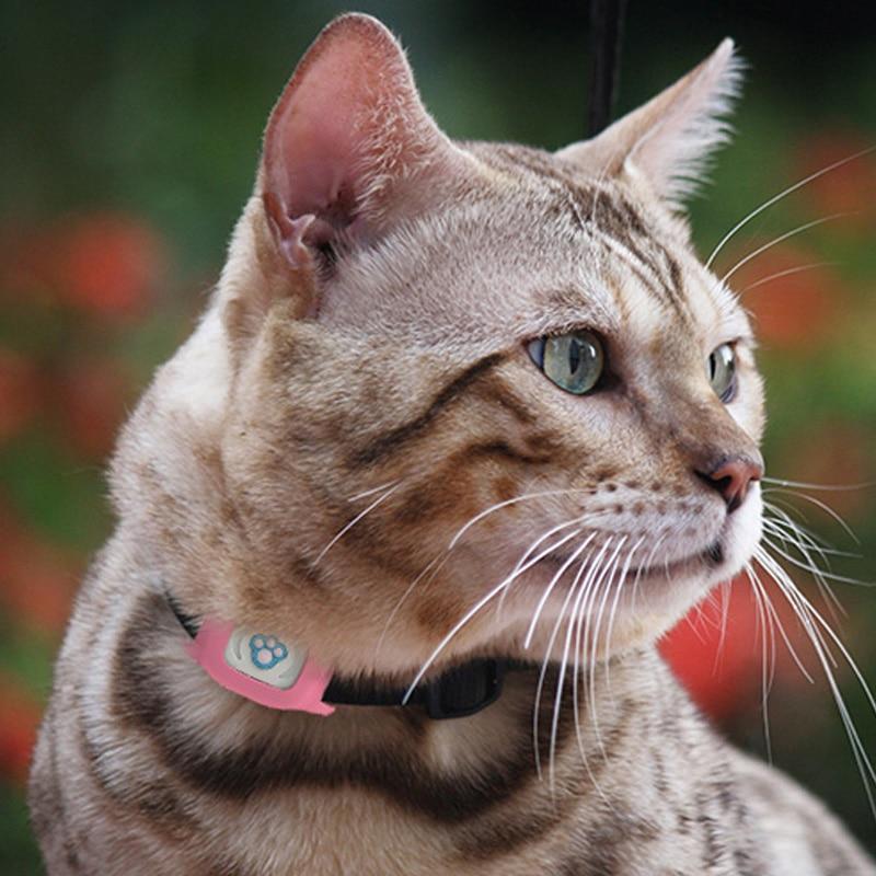 Smart GPS Cat Collar – Pet GPS Tracker