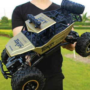 4X4 Rock Crawler Big RC Car