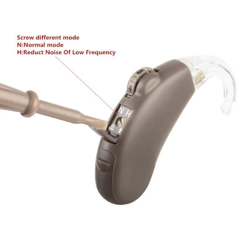 Digital Hearing Aids