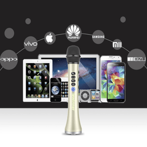 Professional Bluetooth Wireless Karaoke Microphone Speaker
