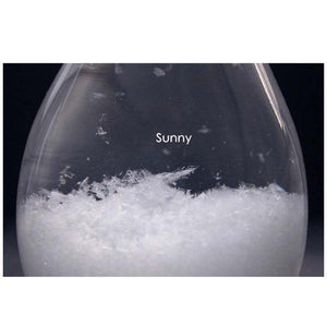 WEATHER PREDICTING STORM GLASS