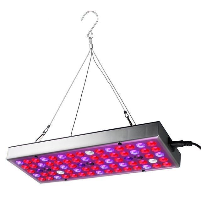 Full Spectrum LED Grow Lights