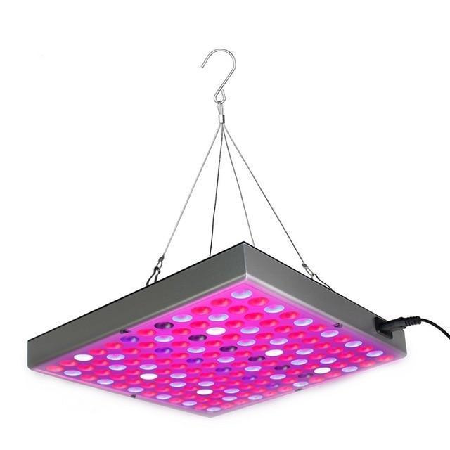 Full Spectrum LED Grow Lights